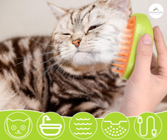 CEPILLO PARA MASCOTA CON VAPOR